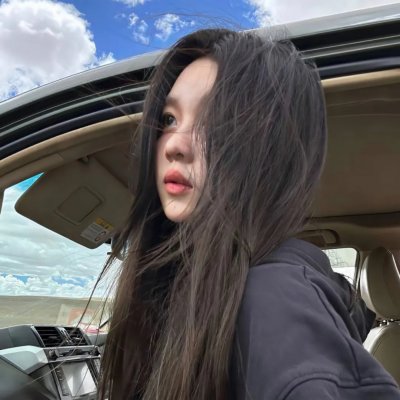 天梯:蔡国强的艺术
